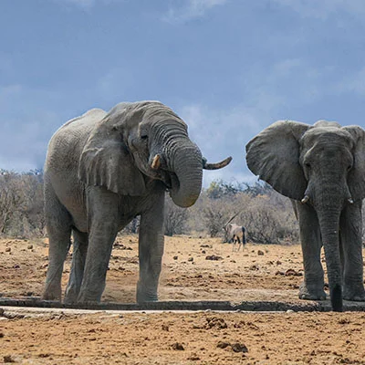 破解网络封锁的利器：最稳定科学上网方法与工具深度解析